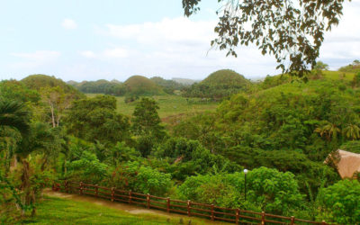 Sagbayan Peak: When Bohol Meets Baguio