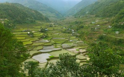 Travel Diaries: Lost in Hungduan