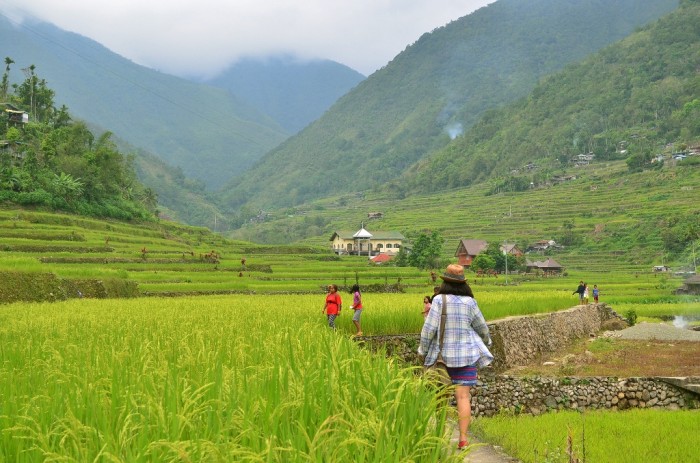 Hungduan Rice Terraces Day Trip Guide for First-Timers